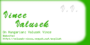 vince valusek business card